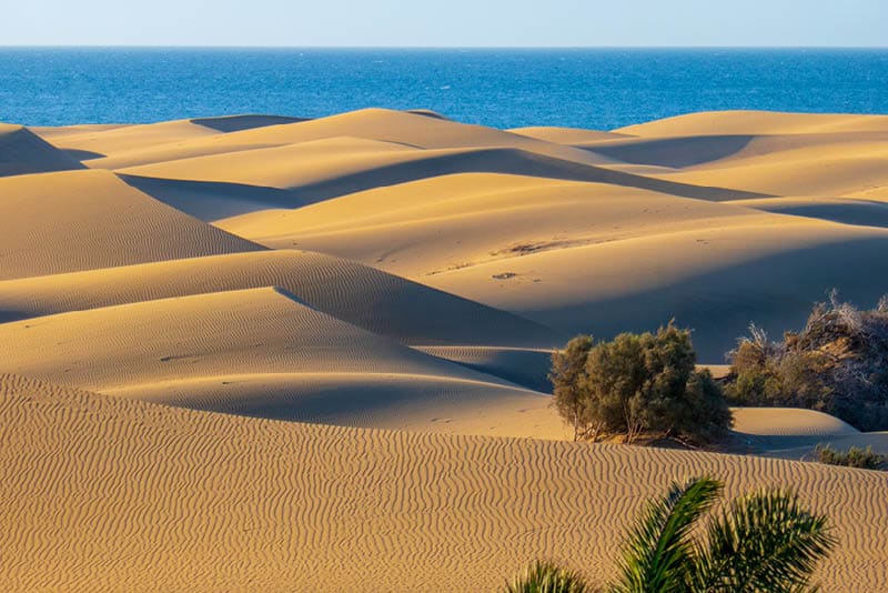 The famous Dunes of Maspalomas, Gran Canaria in summer