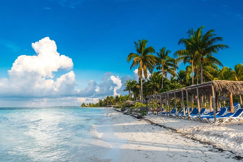 A seat in front of the Caribbean sea. Beautiful beach of Cayo Gulliermo, in Cuba, next to the coral reef, with palm trees and long chairs where to chill out enjoying the breeze and the sun.