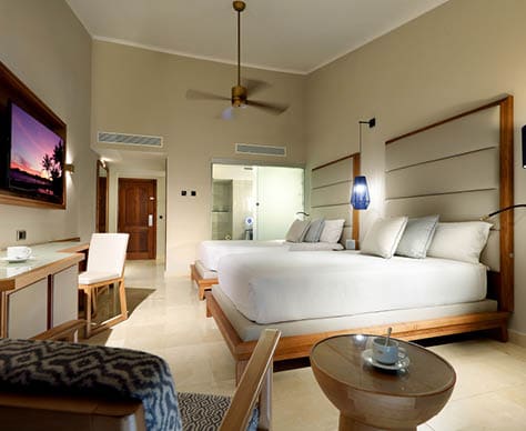 Habitaci n Deluxe con jacuzzi / ba era de hidromasaje