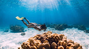 Woman swimming underwater with yellow fins in blue ocean. Freediving or snorkeling in Mauritius