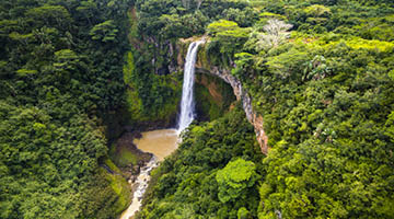 Aerial top view perspective of Chamarel Waterfall in the tropical island jungle of Mauritius